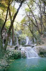 Golestan park